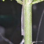 IMG_20210122_173524.jpg