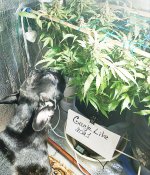 IMG-20210125-WA0004.jpg