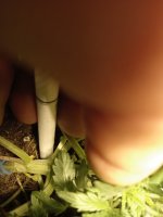 IMG_20210204_203434.jpg