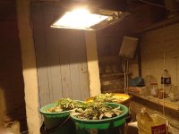 IMG_20210206_184154.jpg