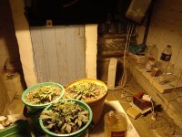 IMG_20210206_184320_1.jpg