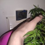 IMG_20210206_150217.jpg