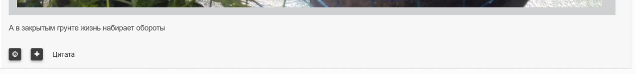 cpp.PNG