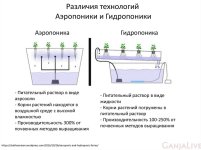 slide-11.jpg