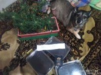 IMG_20210208_234940_735.jpg
