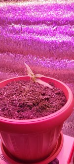 20210211_204922.jpg