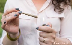cannabis-legalization-not-associated-adverse-social-effects.jpg
