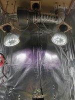 IMG_20210221_131912.jpg