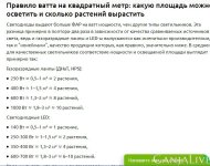 Свет.jpg Свет.jpg