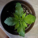 photo5298611371535085817 (1).jpg