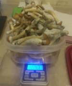 IMG_20210208_221643.jpg