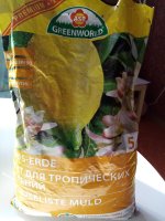IMG_20210228_132124.jpg