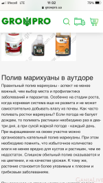 A6355B07-D452-4317-A0DB-92BECD7E9CB7.png