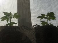 486D54A4-C535-47C7-8B7D-FA959623B96D.jpeg