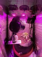 9A3B6722-AD79-4CCF-BA6A-FC102BC20263.jpeg