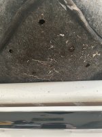 AB635E83-C1C4-4017-8302-7C80AE0B9D4F.jpeg