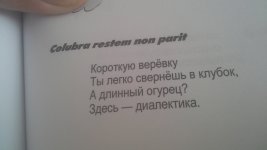 20200928_104344.jpg
