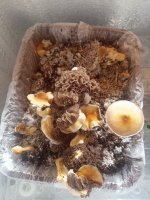 IMG_20210313_010324.jpg