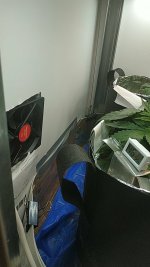 805071576_3.jpg.407ef94e229fd8626e59a15f5f0dbff9 (1).jpg