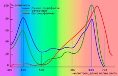 rofilla-grafik-min.jpg