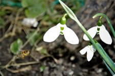 IMG_0851.JPG