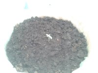 2021-03-16 06.05.12.jpg