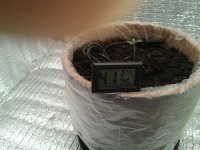 2021-03-16 21.55.35.jpg