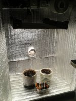 2021-03-16 21.54.59.jpg