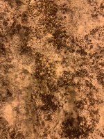 3EF1C689-D3BE-4FDD-853A-326C3E487D84.jpeg