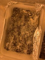 8C13676C-94B5-469C-A0F5-BB7CF89FA03E.jpeg