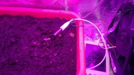 WP_20210317_09_58_05_Pro_LI.jpg