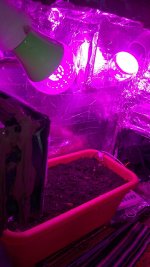WP_20210317_09_58_29_Pro_LI.jpg