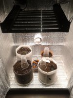 2021-03-19 14.45.43.jpg