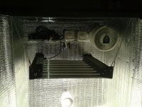 2021-03-16 21.55.11.jpg