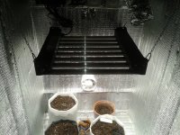 2021-03-19 00.08.12.jpg