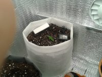 2021-03-19 21.59.10.jpg