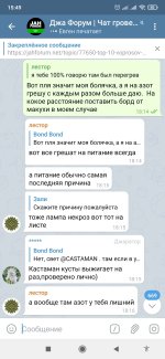 Screenshot_2021-03-19-15-49-33-357_org.telegram.messenger.jpg