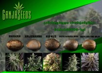 700 на 500 копия.jpg