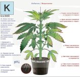 0 78731xJmIIkhjrvk.jpg