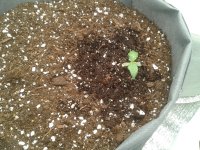 2021-03-23 05.00.41.jpg