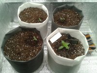 2021-03-23 13.04.32.jpg