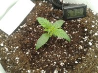 2021-03-23 13.04.55.jpg