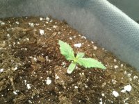 2021-03-23 13.05.15.jpg