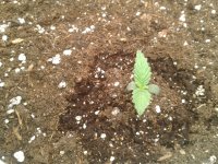 2021-03-23 13.05.50.jpg