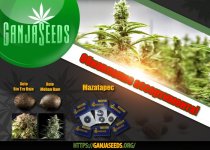 700на500 рф copy.jpg