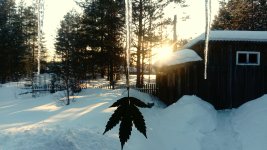 _20210323_183226.JPG