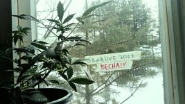 _20210322_162528.JPG