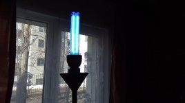 IMG_20210324_122656.jpg