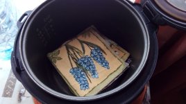IMG_20210324_132103.jpg