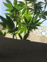 036974D1-389E-4A00-8898-6AC03ED35758.jpeg